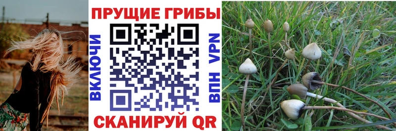 Галлюциногенные грибы Magic Shrooms Арсеньев